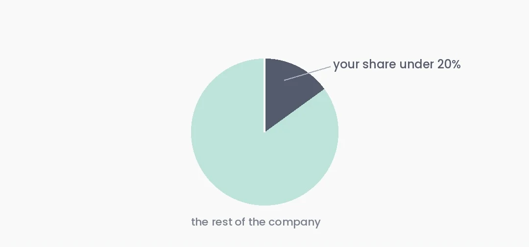 Pie chart: a shareholding under 20% shown against the rest of the company.
